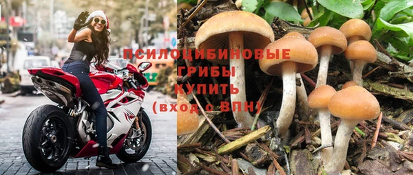 амфетамин Богданович