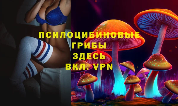 метадон Богородицк