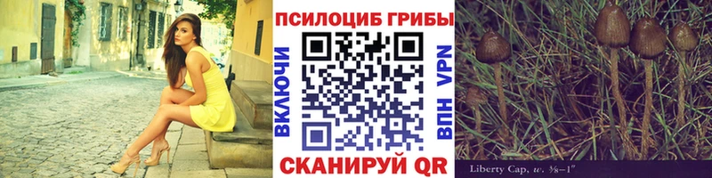 Галлюциногенные грибы Cubensis  Великие Луки 